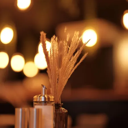 The - & House מלון דירות 4*